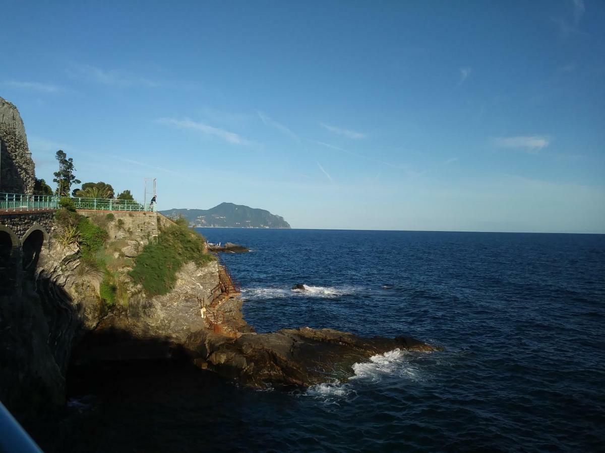 Nervi *