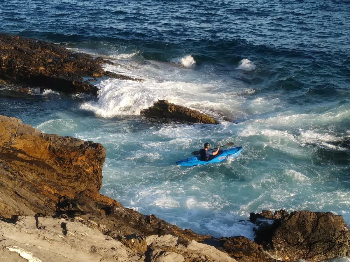 Nervi *